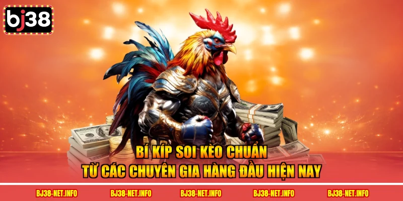 Bí kíp soi kèo chuẩn từ các chuyên gia hàng đầu hiện nay