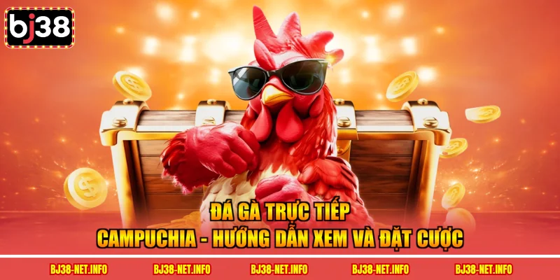 Đá gà trực tiếp campuchia