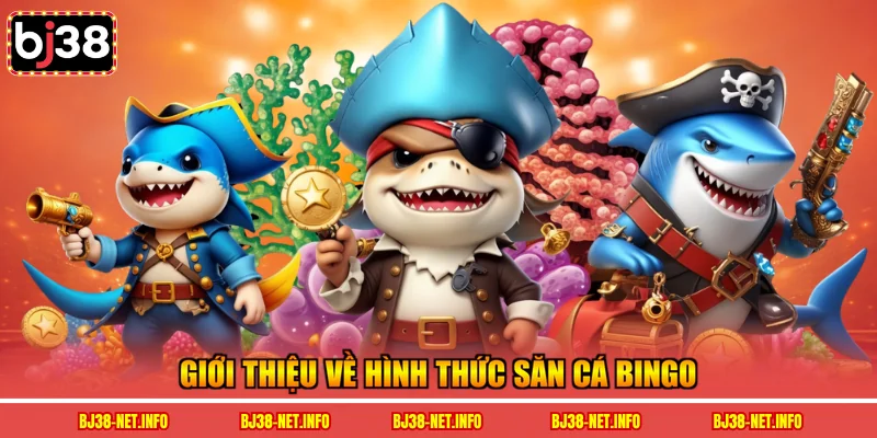Giới thiệu về hình thức săn cá bingo