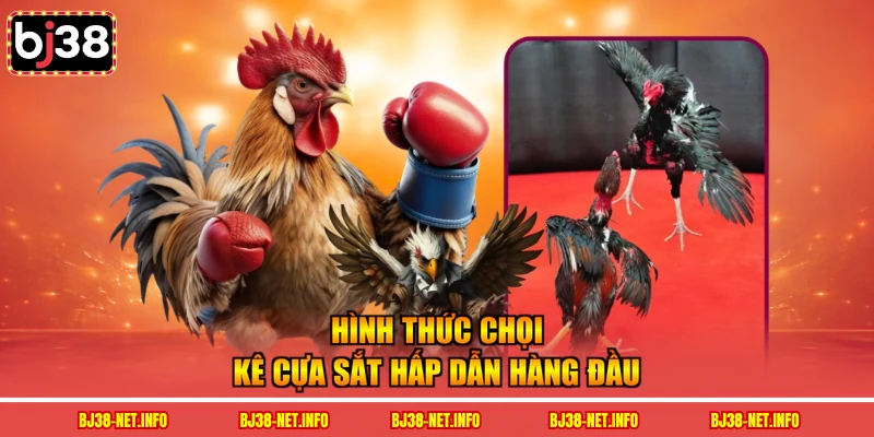 Hình thức chọi kê cựa sắt hấp dẫn hàng đầu
