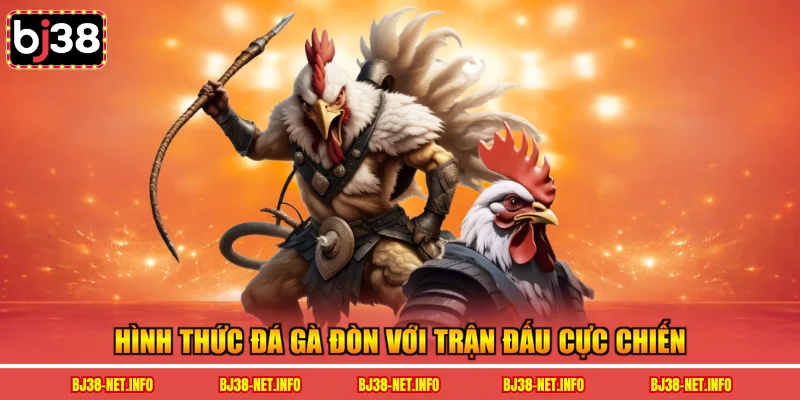 Hình thức đá gà đòn với trận đấu cực chiến