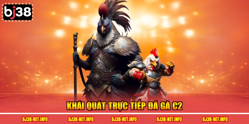 Khái quát trực tiếp đá gà C2