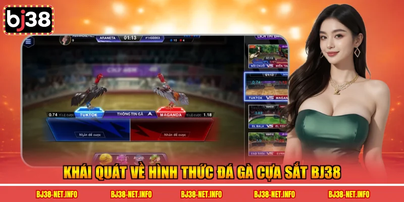 Khái quát về hình thức đá gà cựa sắt BJ38