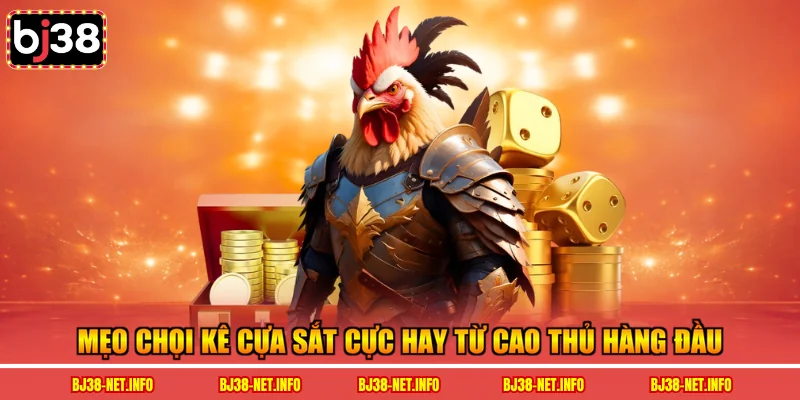 Mẹo chọi kê cựa sắt cực hay từ cao thủ hàng đầu