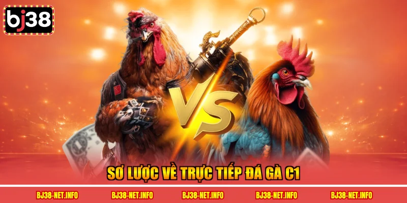 Sơ lược về trực tiếp đá gà C1 