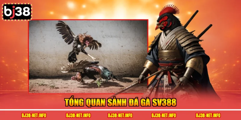 Tổng quan sảnh đá gà SV388