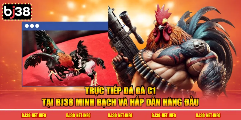 Trực tiếp đá gà c1