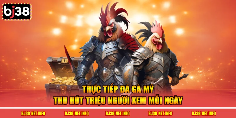 Trực tiếp đá gà mỹ thu hút triệu người xem mỗi ngày
