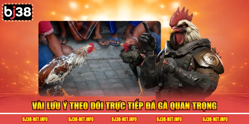 Vài lưu ý theo dõi trực tiếp đá gà quan trọng