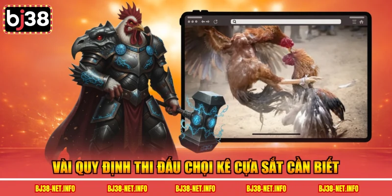Vài quy định thi đấu chọi kê cựa sắt cần biết