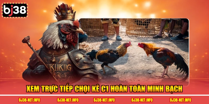 Xem trực tiếp chọi kê C1 hoàn toàn minh bạch